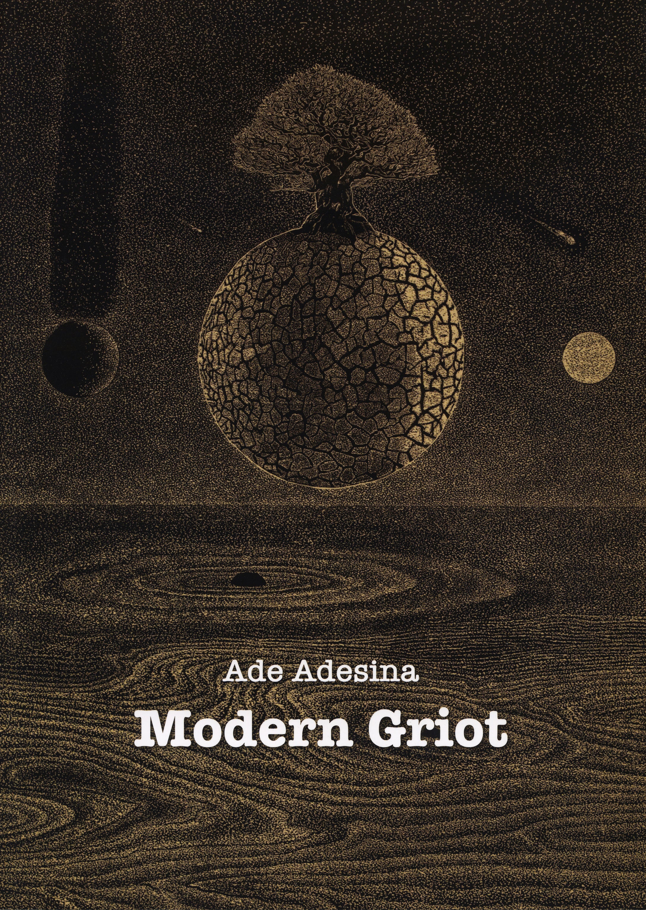 Ade Adesina: Modern Griot