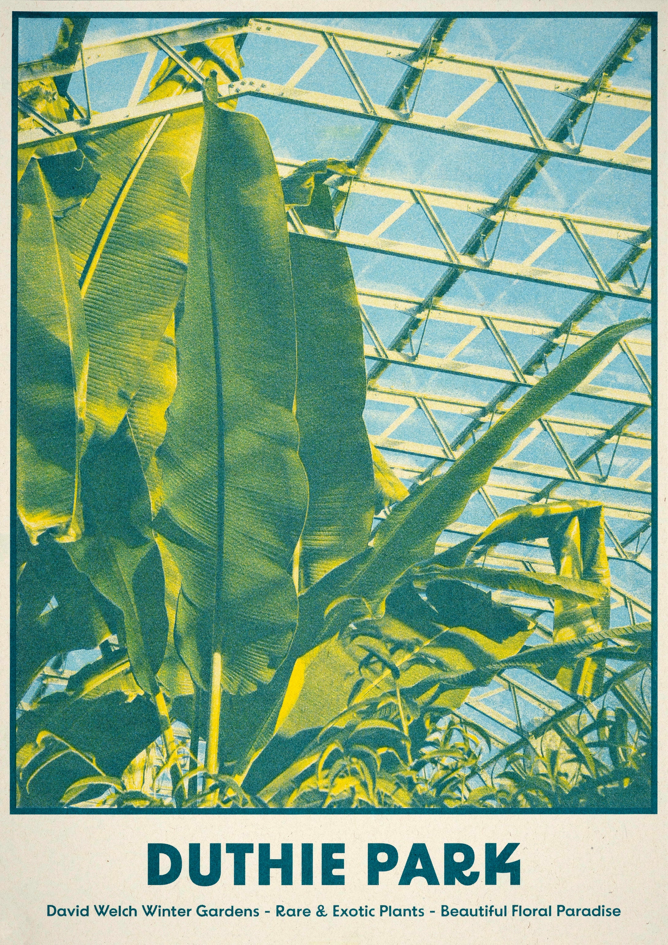 Eva Crawford-McKee: Duthie Park