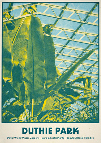 Eva Crawford-McKee: Duthie Park
