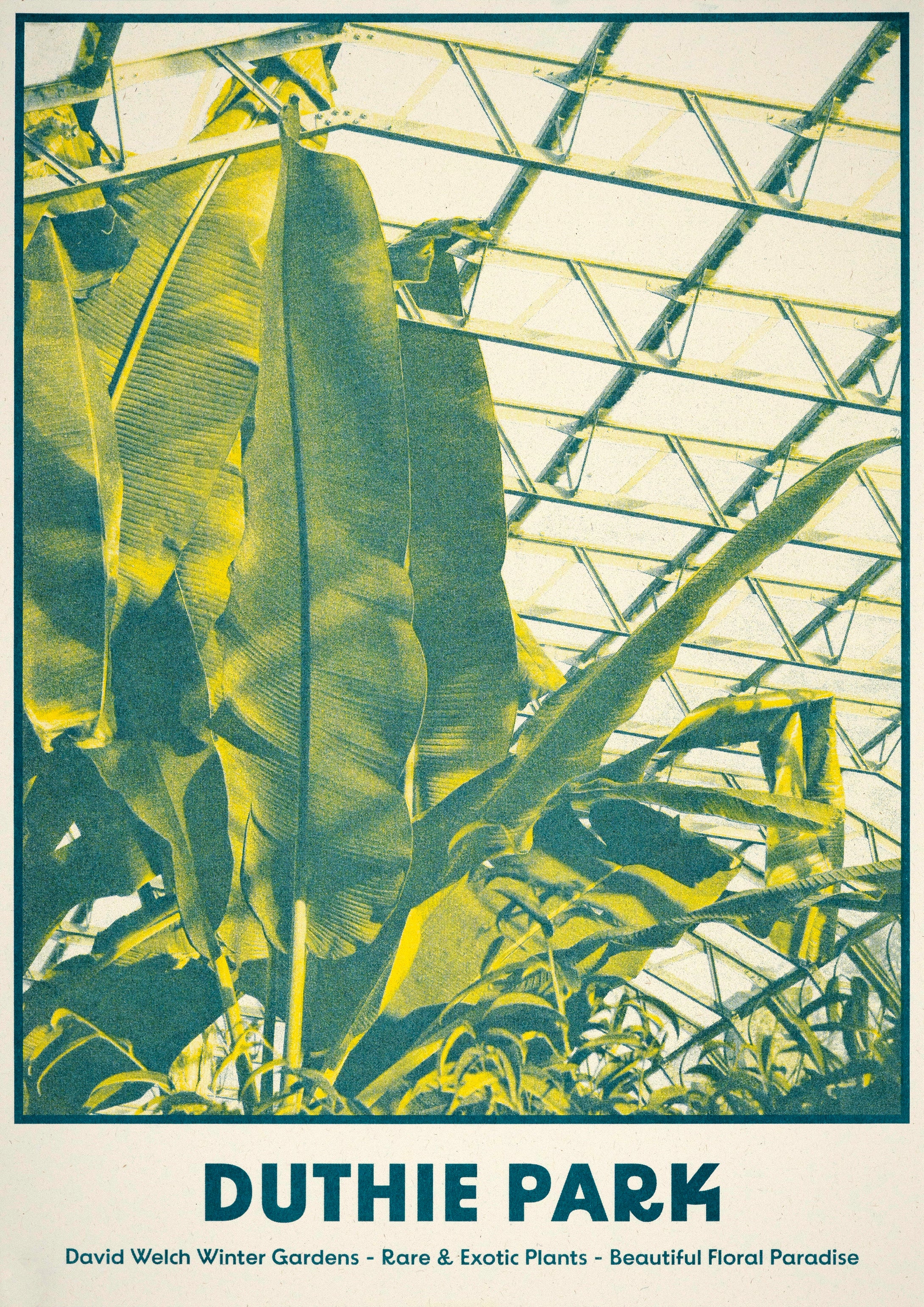 Eva Crawford-McKee: Duthie Park