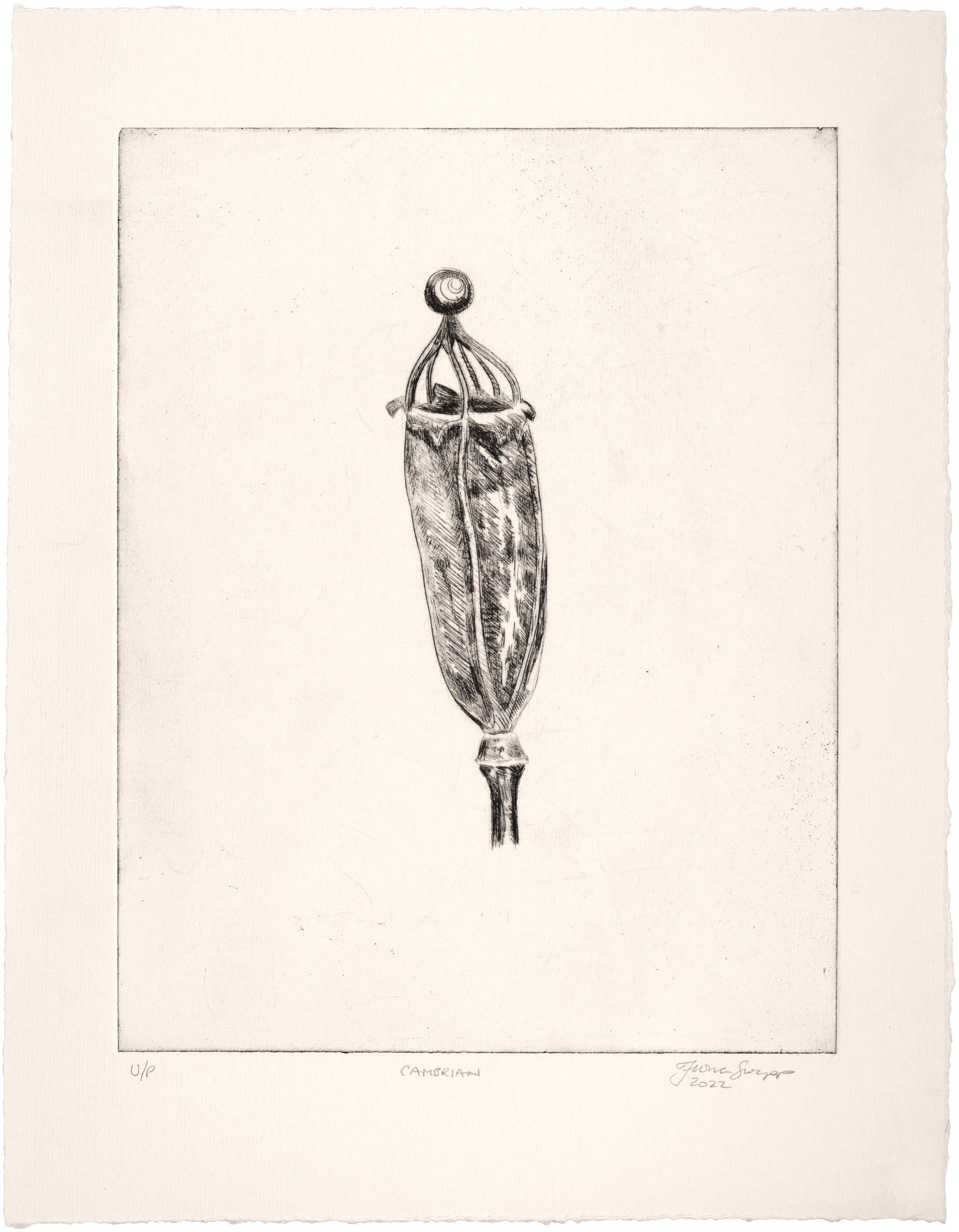 Fiona Swapp: Cambrian