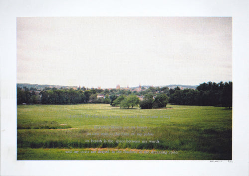 Georgeanna Zahradka : Oxford Bones