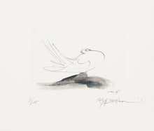 Load image into Gallery viewer, Ralph Steadman: Picasso 347 Suite Homage - Peace Dove