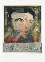 Load image into Gallery viewer, Ralph Steadman: Picastwo
