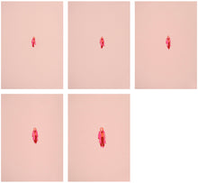 Load image into Gallery viewer, Verity MacBride: Back and Forth #7 - #11 [set of 5 prints]