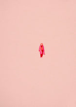 Load image into Gallery viewer, Verity MacBride: Back and Forth #7 - #11 [set of 5 prints]