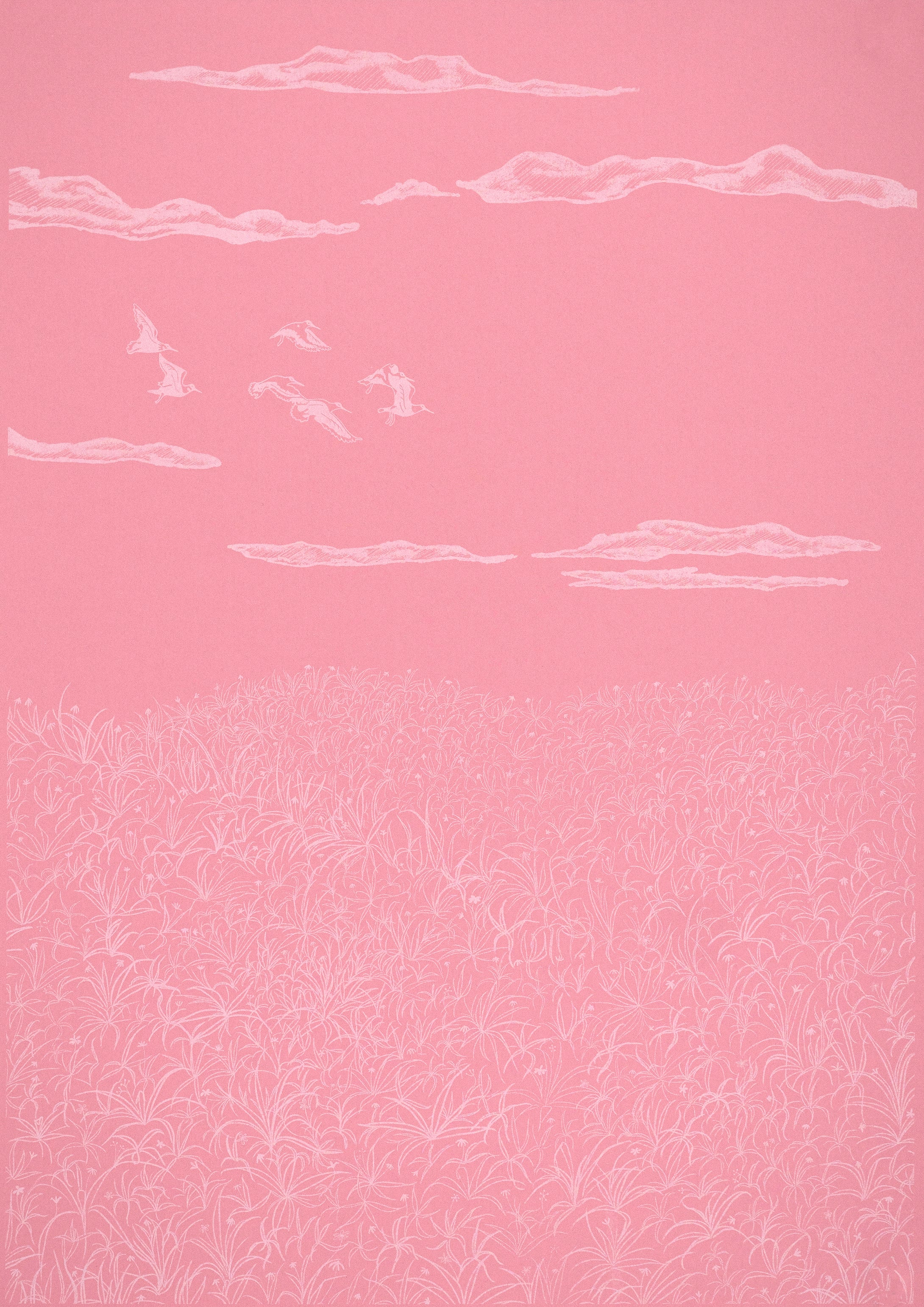 Verity MacBride: Flock