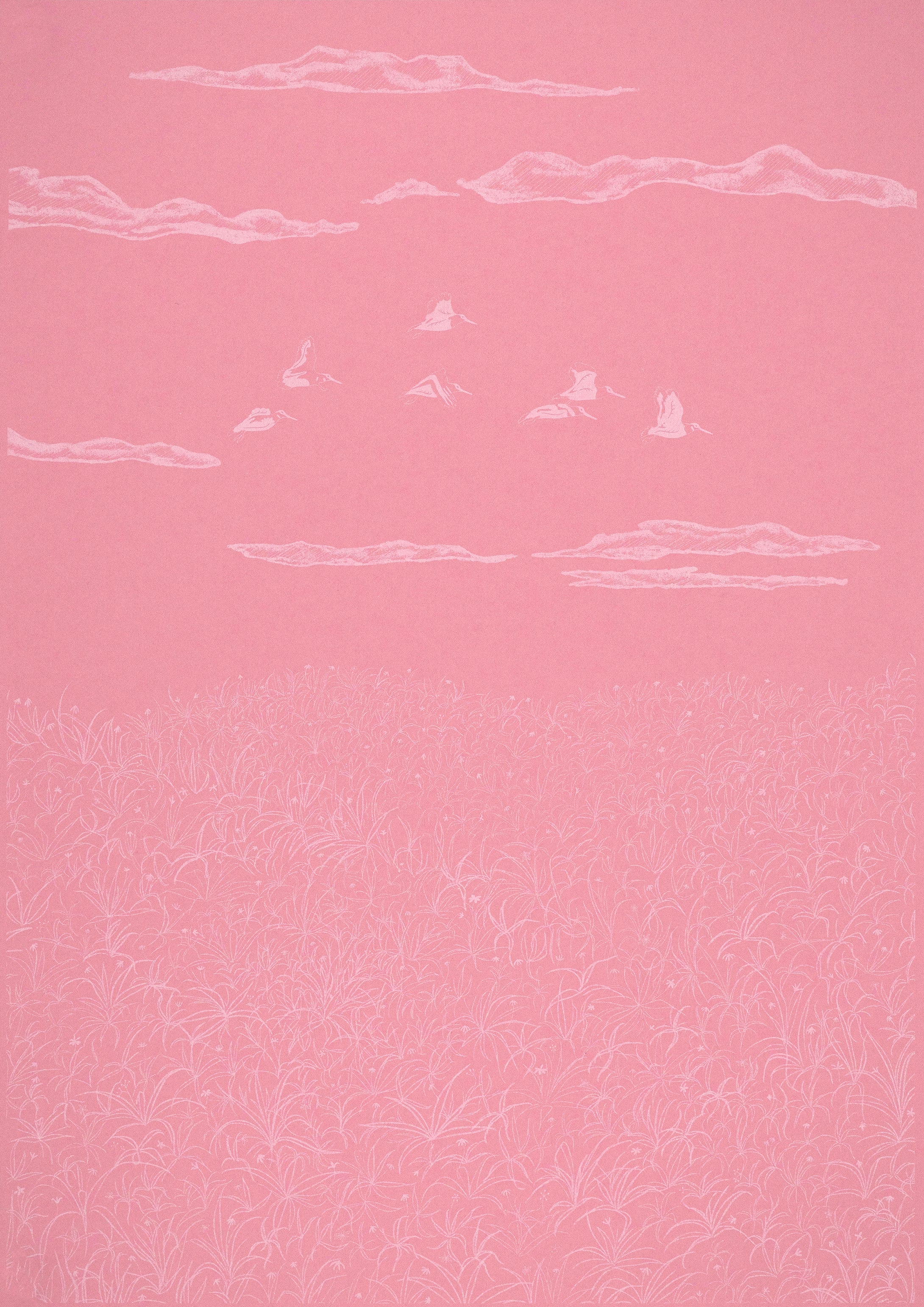 Verity MacBride: Flock