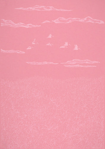 Verity MacBride: Flock