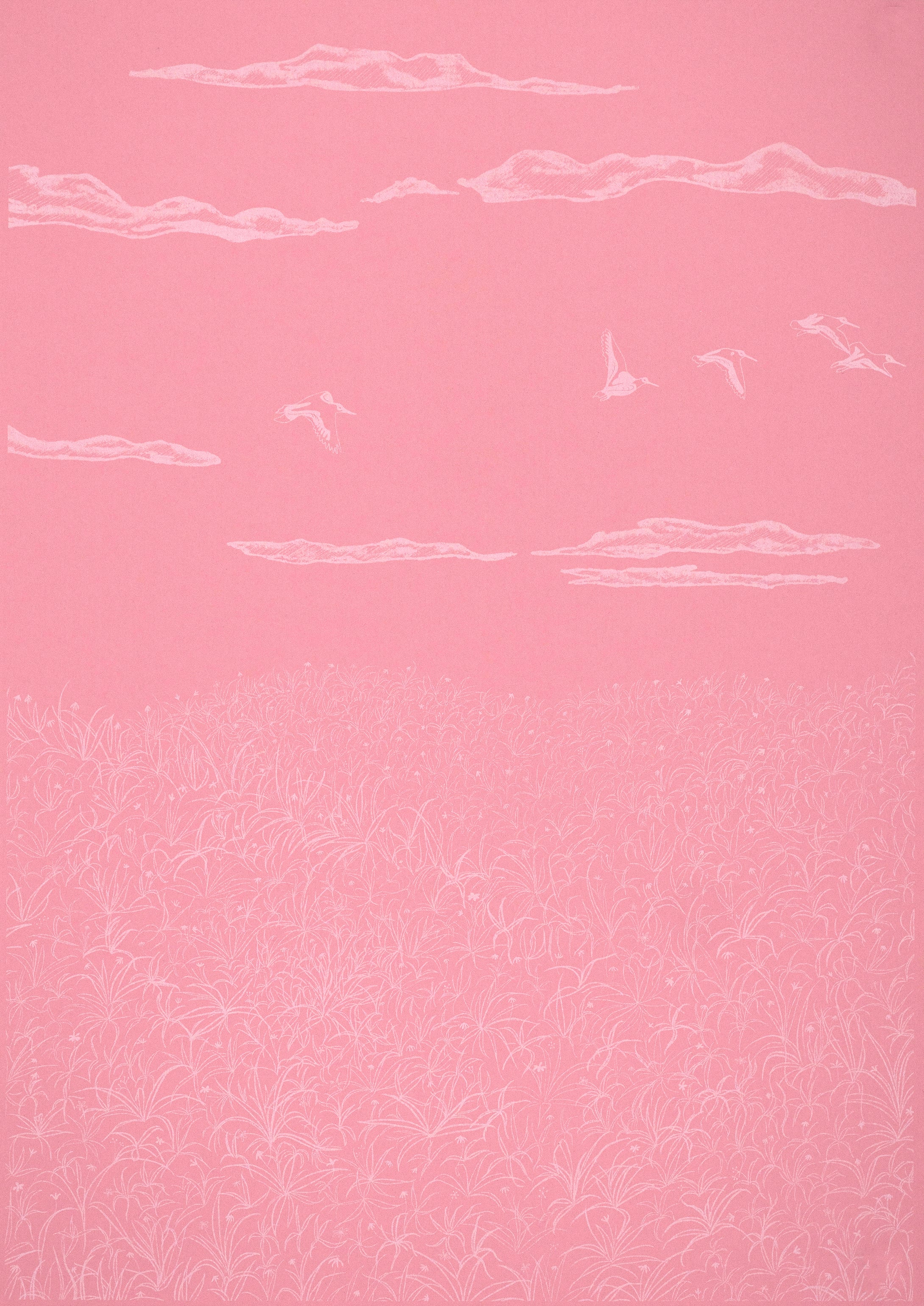 Verity MacBride: Flock