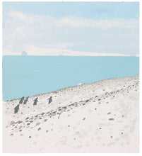 Load image into Gallery viewer, Frances Walker: Antarctic Shore Walk
