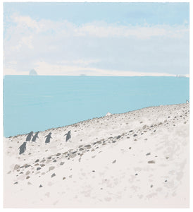 Frances Walker: Antarctic Shore Walk