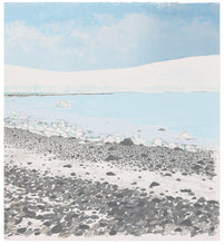 Load image into Gallery viewer, Frances Walker: Antarctic Shore Walk