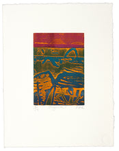 Load image into Gallery viewer, Barbara Rae: Orgiva 1