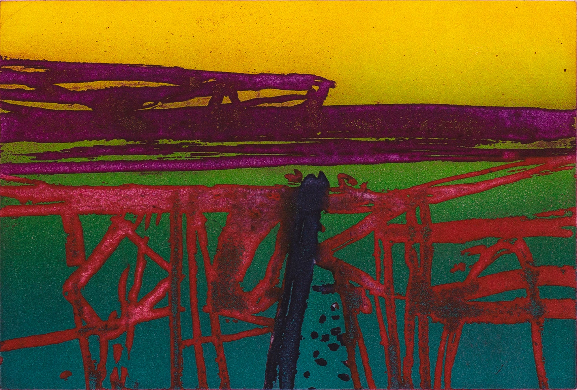 Barbara Rae: Red Field - Ceide