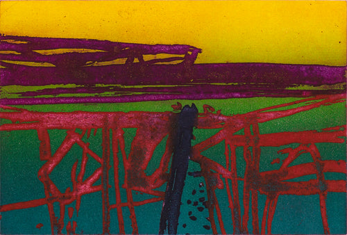 Barbara Rae: Red Field - Ceide