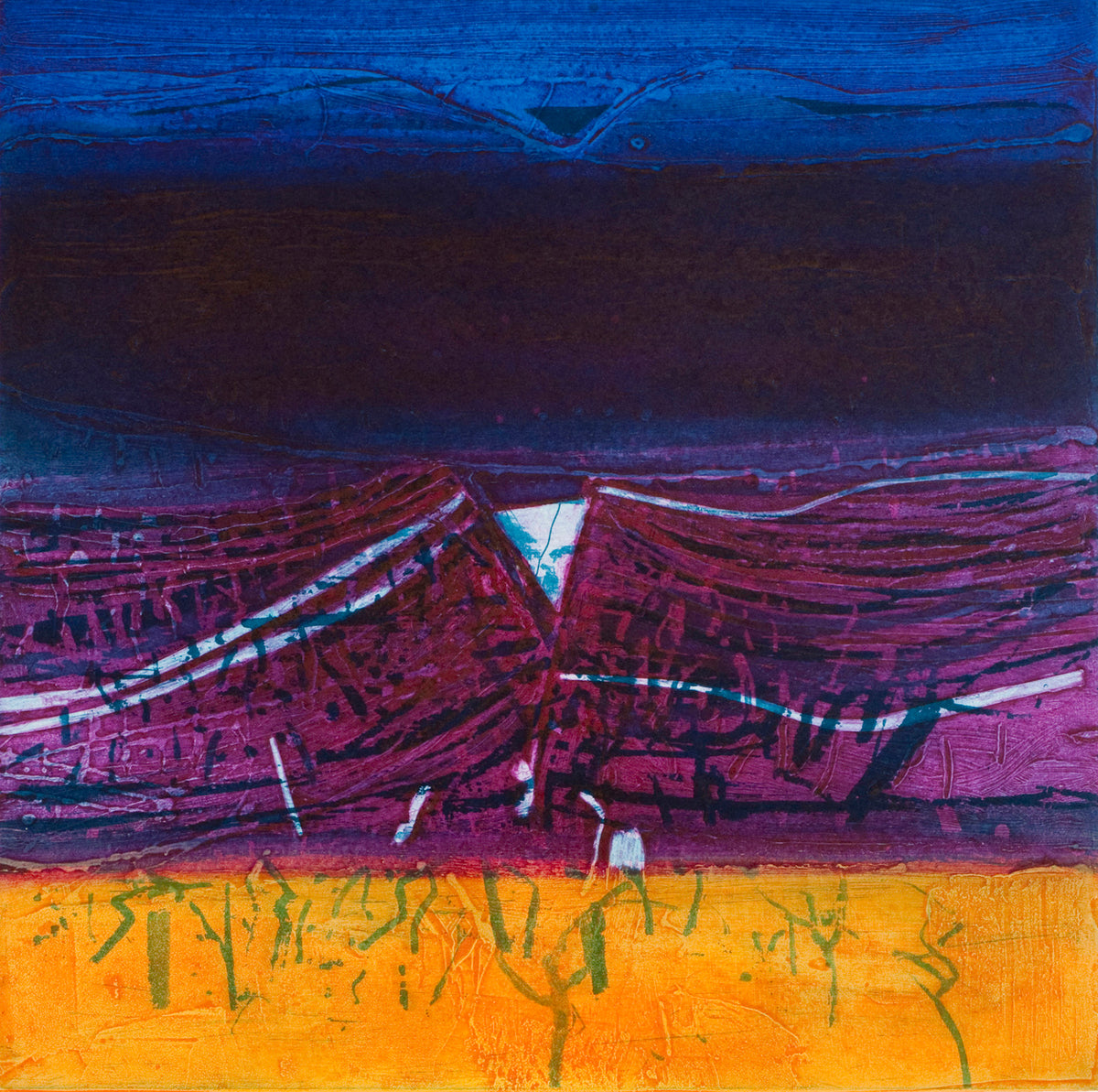 Barbara Rae: South Of Granada – Peacock - a workshop for art