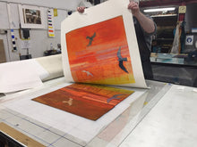 Load image into Gallery viewer, Barbara Rae: Sanctuary - Spring