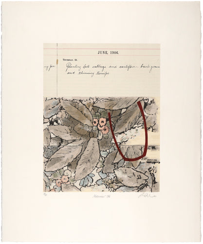 Carol Dunbar: Midsummer 1906