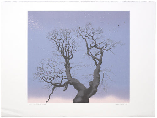 Donald Addison: A Time To Sleep