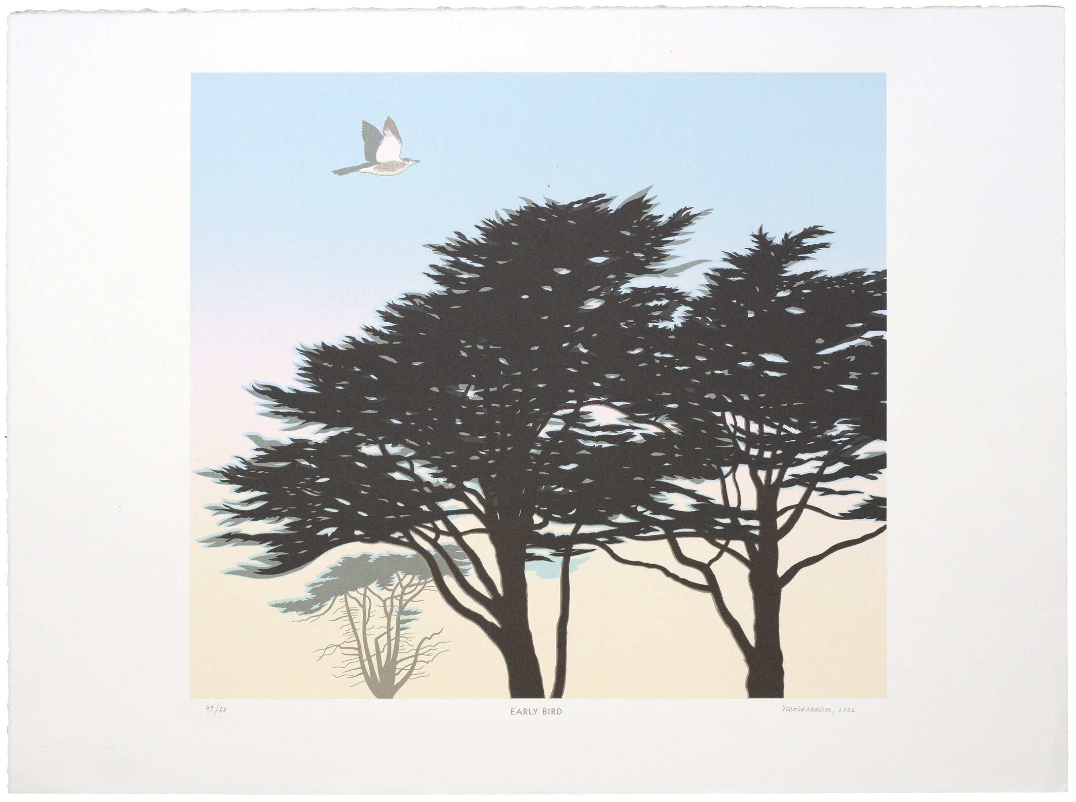 Donald Addison: Early Bird