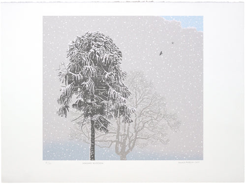 Donald Addison: January Blossom