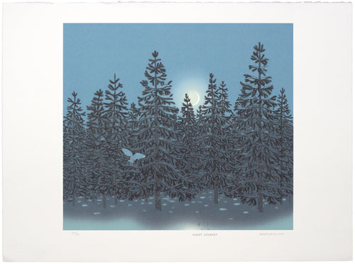 Donald Addison: Night Journey