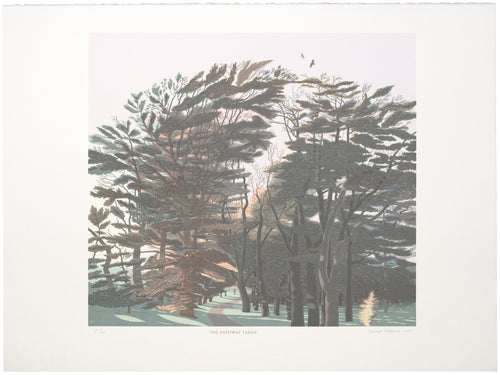 Donald Addison: The Pathway Taken