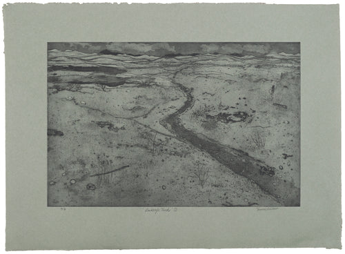 Frances Walker: Landscape Tracks 2