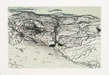 Load image into Gallery viewer, Frances Walker: Wild Shore