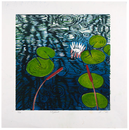 Jane Richardson: Lily Pond