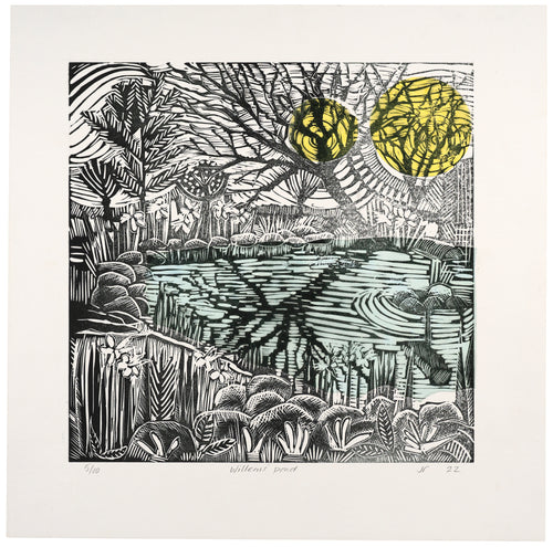 Jane Richardson: Willem's Pond
