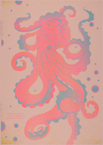 Jemma Chisholm: Octopus