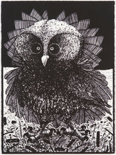 Load image into Gallery viewer, Michael Agnew: Muttereule