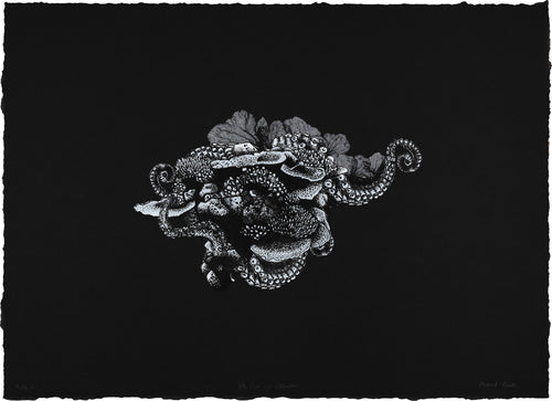 Niamh Coutts: The Call of Cthulu
