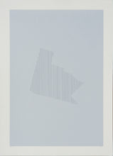 Load image into Gallery viewer, Sólveig Aðalsteinsdóttir: Walk