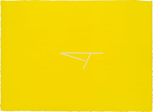 Tumi Magnusson: jeppinn