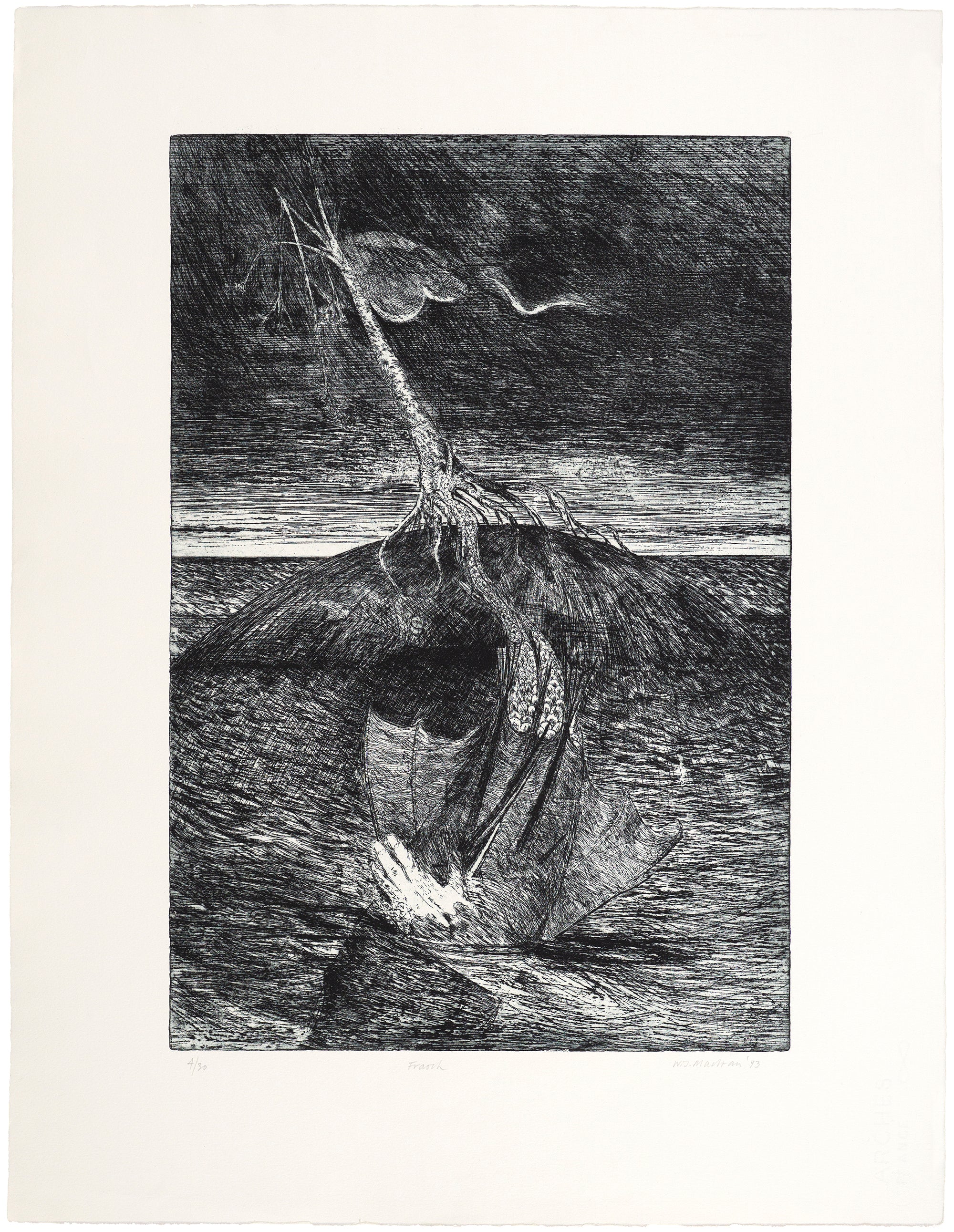 Will Maclean: Fraoch