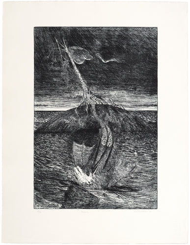 Will Maclean: Fraoch