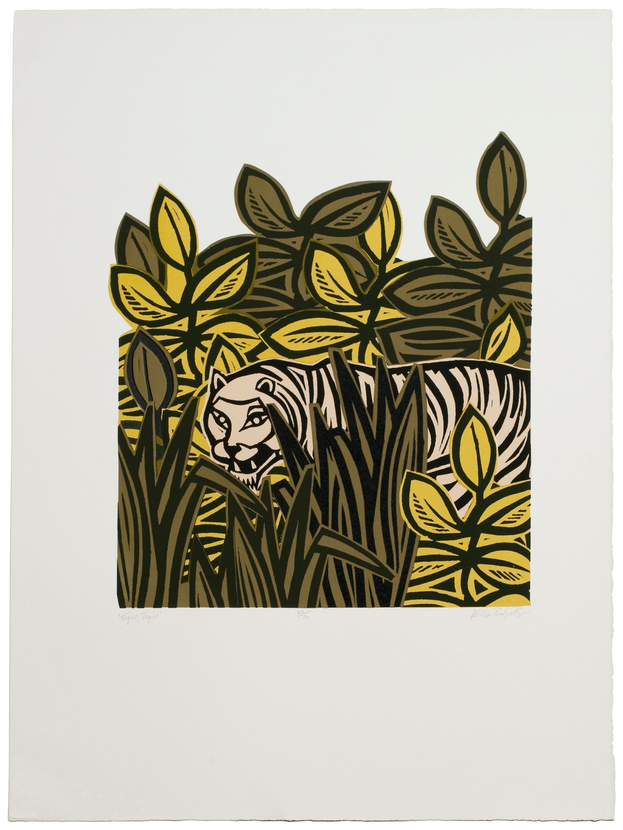 Willie Rodger: Tiger Tiger